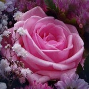 Kathy Jasmin's photo