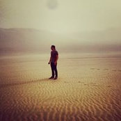 David Molini's photo