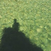 Phan Tùng's photo