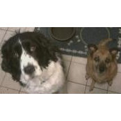 Elaine Hill's photo