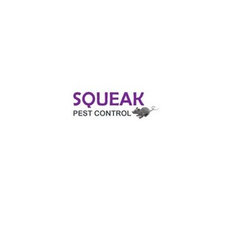 Squeak Pest Moth Pest control Melbourne