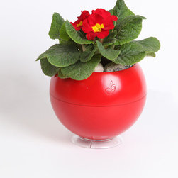 GreenBall Planter (Set of 3) - Products
