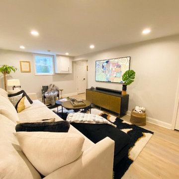 Basement Remodel