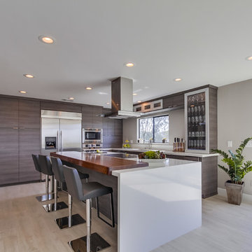La Mesa_Modern Kitchen_Whole Home Remodel
