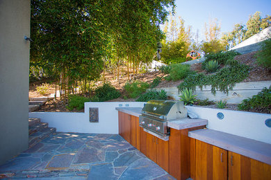 This is an example of a contemporary patio in San Diego.