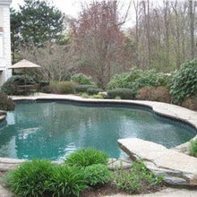 Cross-Nelson Pool