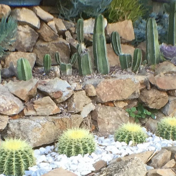 Xeriscape - Drought Tolerant Succulent Planting -Water Wise in LA