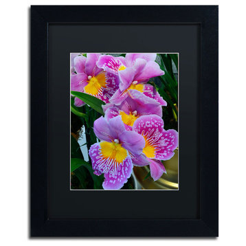 'Happy Orchids' Matted Framed Canvas Art by Kurt Shaffer