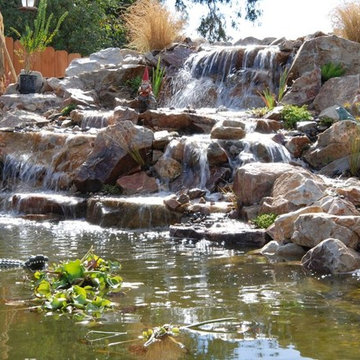 Awesome Koi Pond and Waterfall