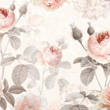 Paint And Wallpaper