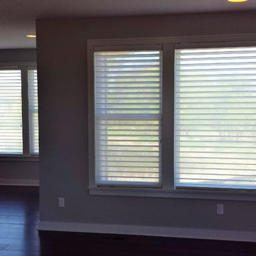 Silhouette Window Shadings