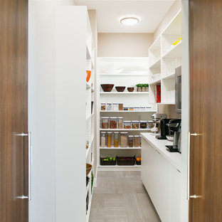 Transitional kitchen pantry pictures - Transitional u-shaped beige floor kitchen pantry photo in Omaha with flat-panel cabinets and white cabinets