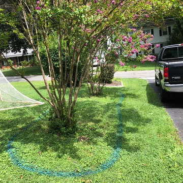 Privacy Landscape Planting