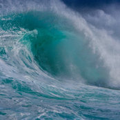 Carrie Swords's photo