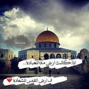 Niveen Murads foto