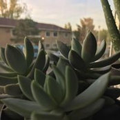 Foto de Amber Rose
