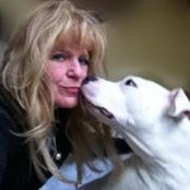 Lisa Stella's photo