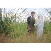Nik Faiz's photo