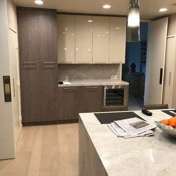 Contemporary Condo Kitchen Renovation with Custom Cabinetry