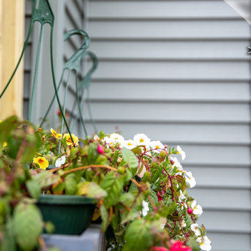 Siding Replacement - Elko New Market, MN