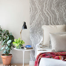 House Plants