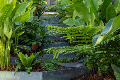 This is an example of a contemporary garden in Brisbane.