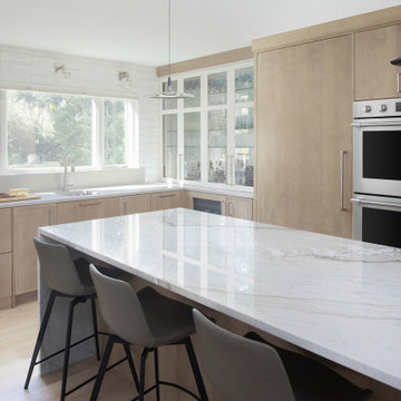 Natural Contemporary Remodel