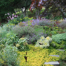 garden front yard