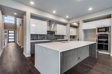 Gray and White Hues, Kitchen Remodel in San Jose, CA