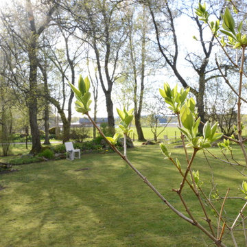 Den naturliga trädgården