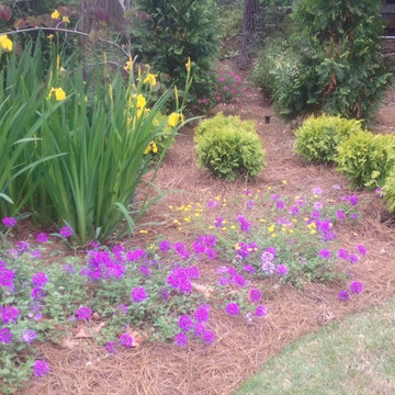 Allen & Mimi Martinson Projects