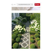 Exterior: Landscape, Patio, Etc