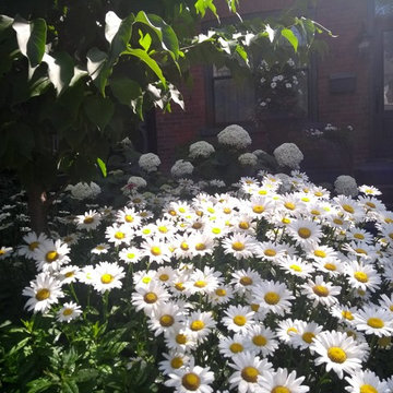 Garden Design and Maintenance