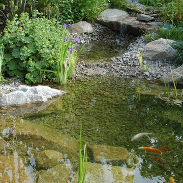 Naturteich im Garten