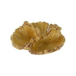 Ginkgo Yellow Bowl - Products