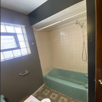 Chicago- Bathroom Remodel