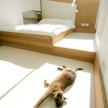 Sophia's bedroom ideas (with a cat)