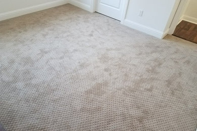 Carpet by Vineyard Floors