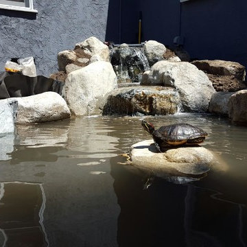 Water Loving Creatures