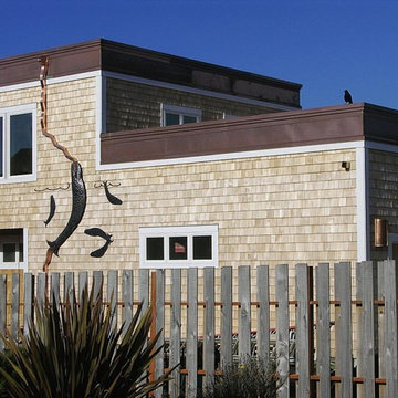 Blue Whale Copper Downspouts