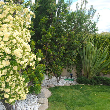 Diseño de jardines / Paisajismo