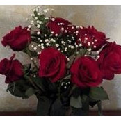 Celeste Wherry's photo