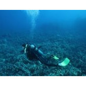 Rene' West Stohrer's photo