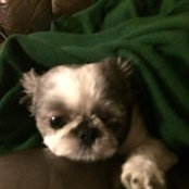 Gayle Desormeaux's photo