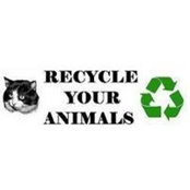 Craig Crowley's photo