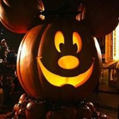 Foto von Aaron Lee