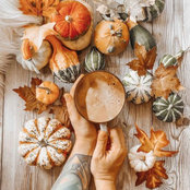 Zilka Gerritsen's photo