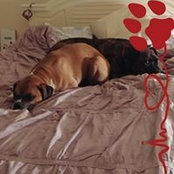 Erica Schumann's photo