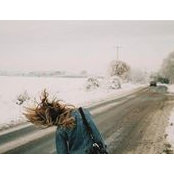 Morgan Mulshine's photo