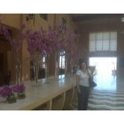 Sawsan Amer's photo